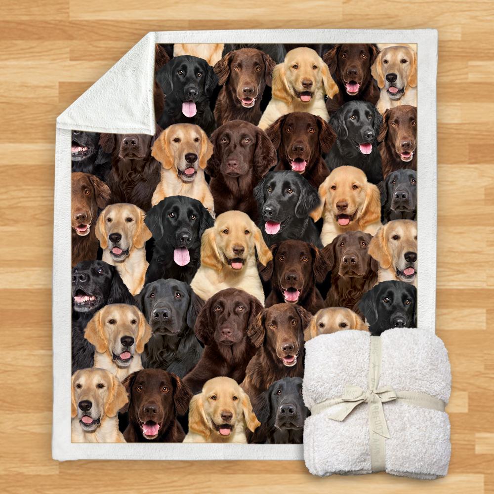 You Will Have A Bunch Of Flat Coated Retrievers Blanket You Will Have A Bunch Of Flat Coated Retrievers Blanket