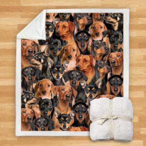 You Will Have A Bunch Of German Pinschers Blanket