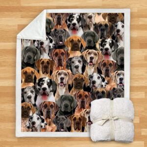 You Will Have A Bunch Of Great Danes Blanket