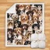 You Will Have A Bunch Of Havaneses Blanket