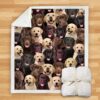 You Will Have A Bunch Of Labradors Blanket