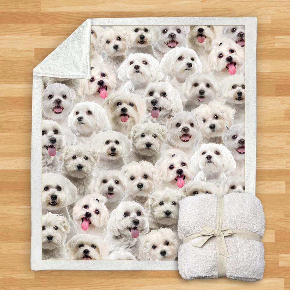 You Will Have A Bunch Of Malteses Blanket You Will Have A Bunch Of Malteses Blanket
