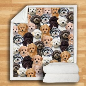 You Will Have A Bunch Of Maltipoos Blanket