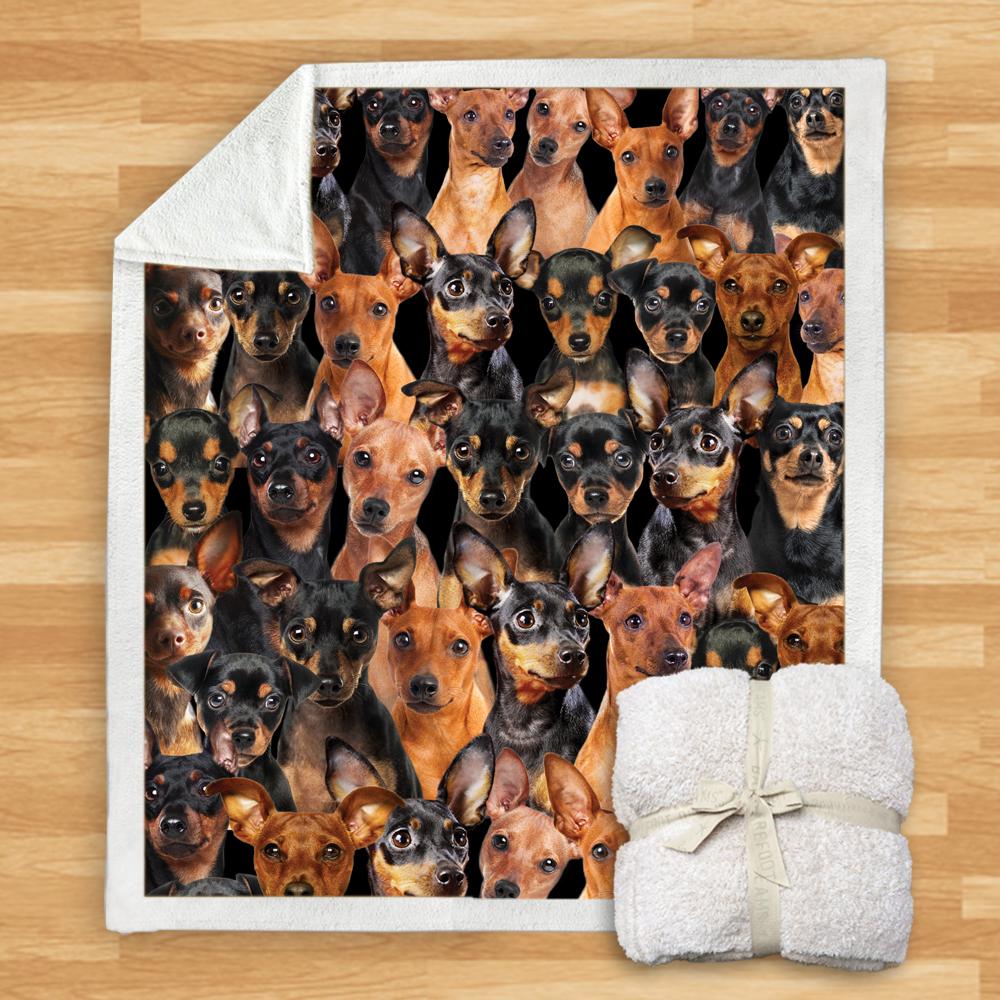 You Will Have A Bunch Of Miniature Pinschers Blanket You Will Have A Bunch Of Miniature Pinschers Blanket