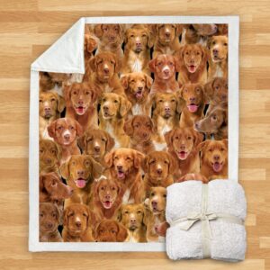 You Will Have A Bunch Of Nova Scotia Duck Tolling Retrievers Blanket