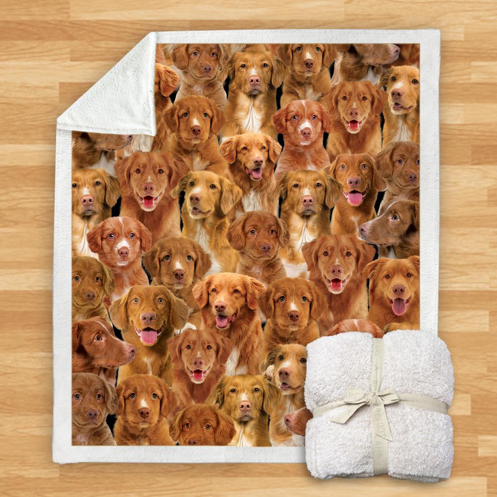 You Will Have A Bunch Of Nova Scotia Duck Tolling Retrievers Blanket You Will Have A Bunch Of Nova Scotia Duck Tolling Retrievers Blanket