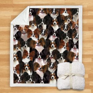 You Will Have A Bunch Of Papillons Blanket