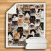 You Will Have A Bunch Of Persian Cats Blanket