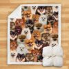 You Will Have A Bunch Of Pomeranians Blanket