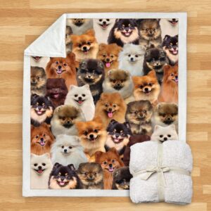 You Will Have A Bunch Of Pomeranians Blanket