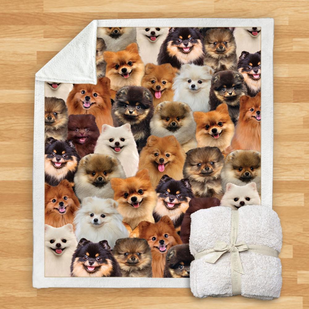 You Will Have A Bunch Of Pomeranians Blanket You Will Have A Bunch Of Pomeranians Blanket