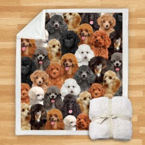 You Will Have A Bunch Of Poodles Blanket