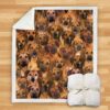 You Will Have A Bunch Of Rhodesian Ridgebacks Blanket