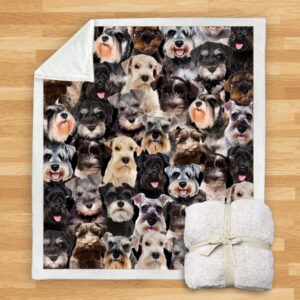 You Will Have A Bunch Of Schnauzers Blanket