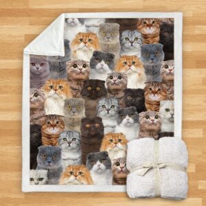 You Will Have A Bunch Of Scottish Fold Cats Blanket
