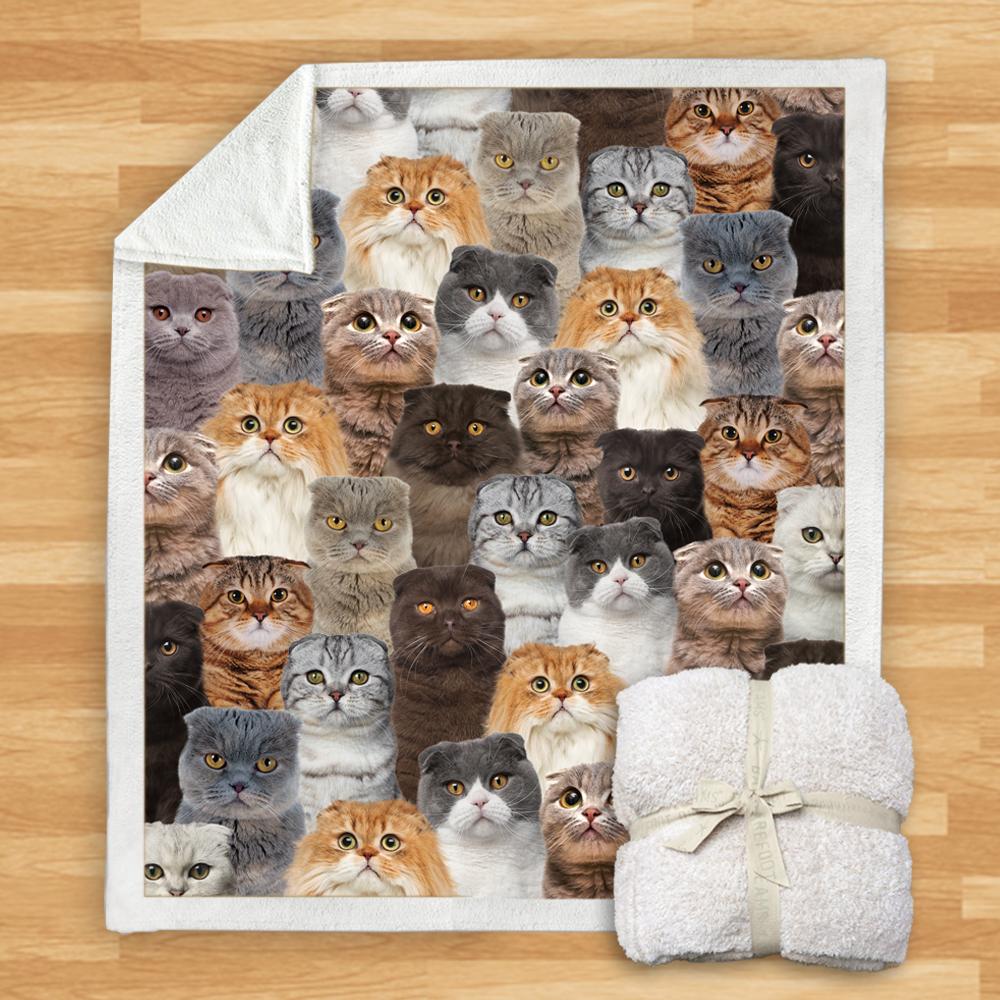 You Will Have A Bunch Of Scottish Fold Cats Blanket You Will Have A Bunch Of Scottish Fold Cats Blanket