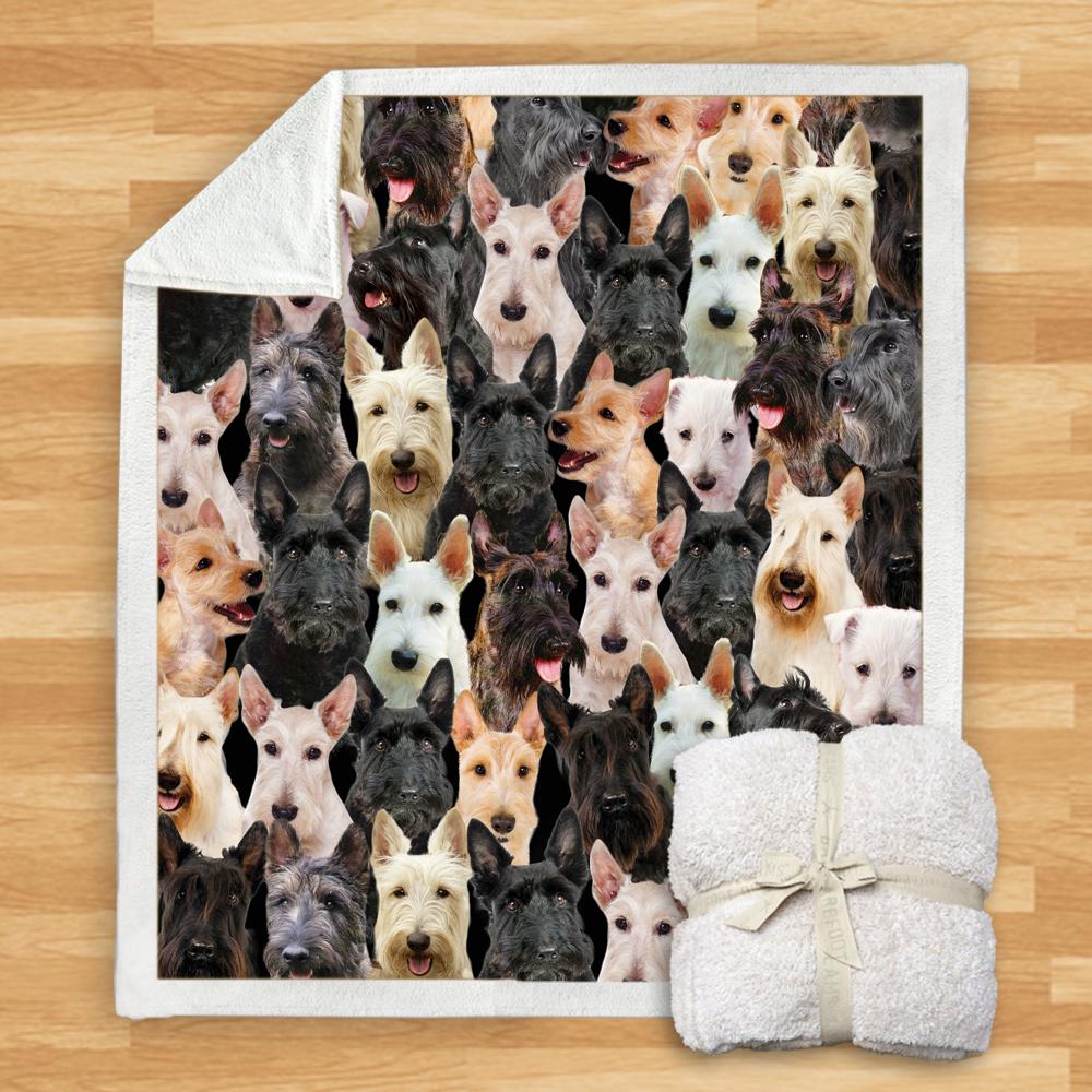You Will Have A Bunch Of Scottish Terriers Blanket You Will Have A Bunch Of Scottish Terriers Blanket