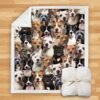 You Will Have A Bunch Of Staffordshire Bull Terriers Blanket