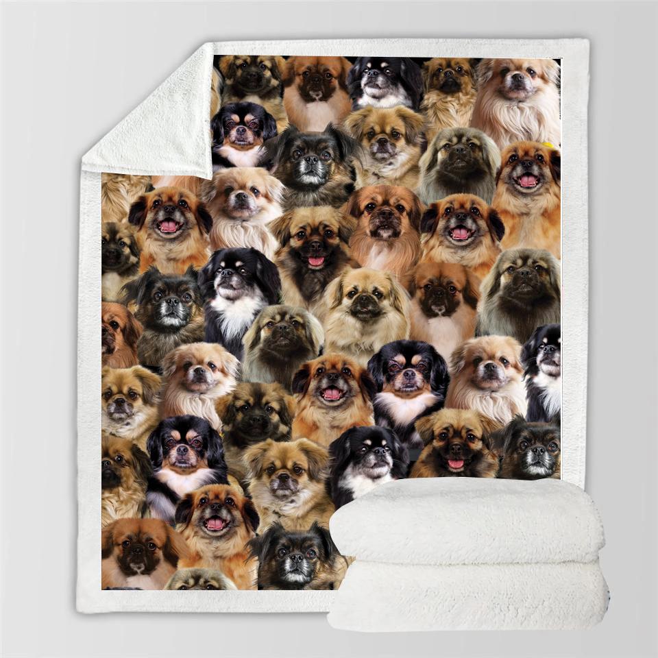 You Will Have A Bunch Of Tibetan Spaniels Blanket
