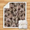 You Will Have A Bunch Of Weimaraners Blanket