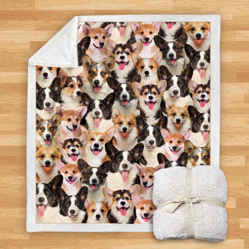 You Will Have A Bunch Of Welsh Corgies Blanket You Will Have A Bunch Of Welsh Corgies Blanket