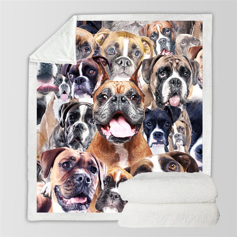 Boxer Blanket Boxer Blanket