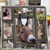 Huge Donkey Blanket